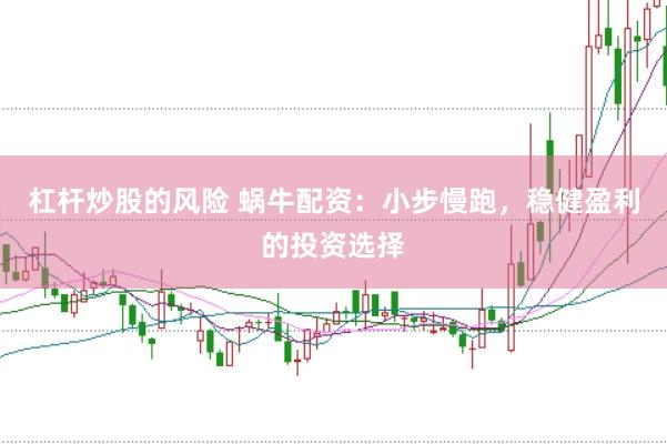 杠杆炒股的风险 蜗牛配资：小步慢跑，稳健盈利的投资选择
