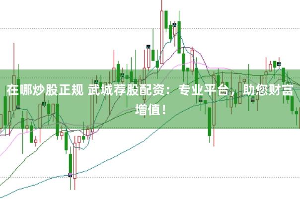 在哪炒股正规 武城荐股配资：专业平台，助您财富增值！