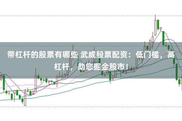 带杠杆的股票有哪些 武威股票配资：低门槛，高杠杆，助您掘金股市！