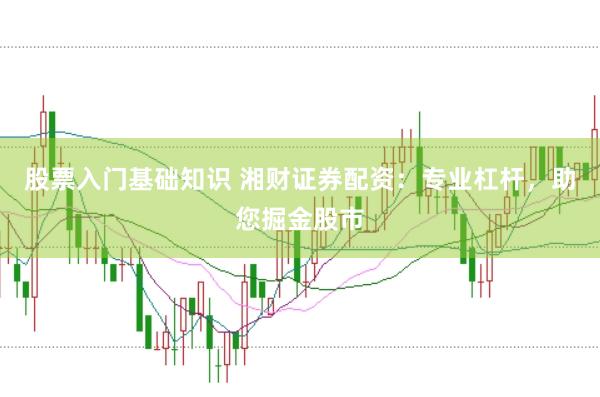 股票入门基础知识 湘财证券配资：专业杠杆，助您掘金股市