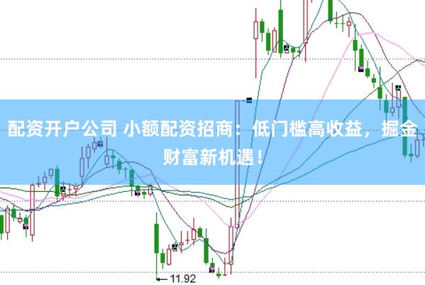 配资开户公司 小额配资招商：低门槛高收益，掘金财富新机遇！