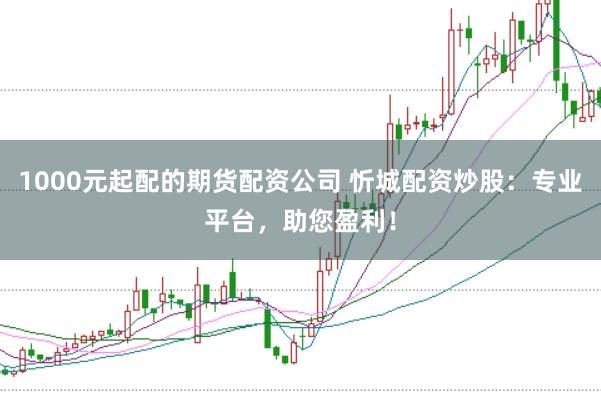 1000元起配的期货配资公司 忻城配资炒股：专业平台，助您盈利！