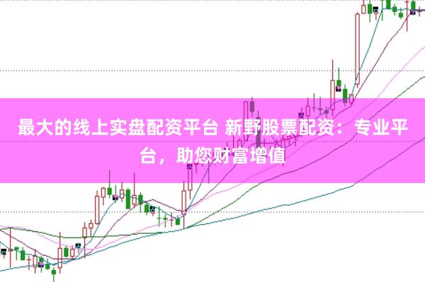 最大的线上实盘配资平台 新野股票配资：专业平台，助您财富增值