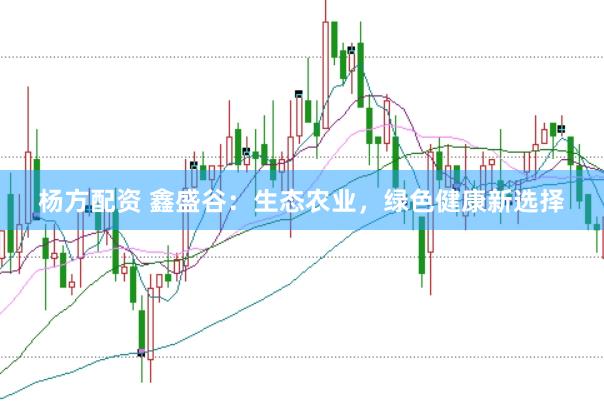杨方配资 鑫盛谷：生态农业，绿色健康新选择