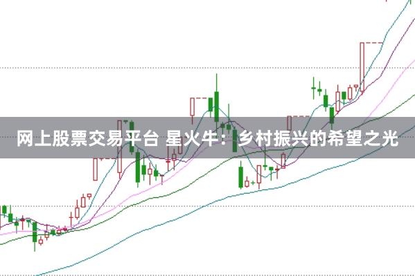 网上股票交易平台 星火牛:乡村振兴的希望之光