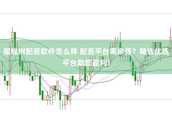 摇钱树配资软件怎么样 配资平台哪家强？精选优质平台助您盈利！