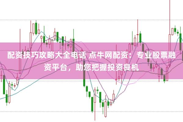 配资技巧攻略大全电话 点牛网配资：专业股票融资平台，助您把握投资良机