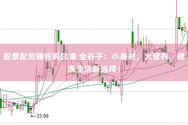 股票配资赚钱吗知道 金谷子：小身材，大营养，健康生活新选择！