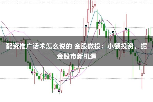 配资推广话术怎么说的 金股微投：小额投资，掘金股市新机遇