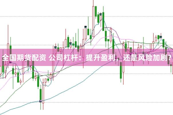 全国期货配资 公司杠杆：提升盈利，还是风险加剧？