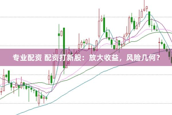 专业配资 配资打新股：放大收益，风险几何？