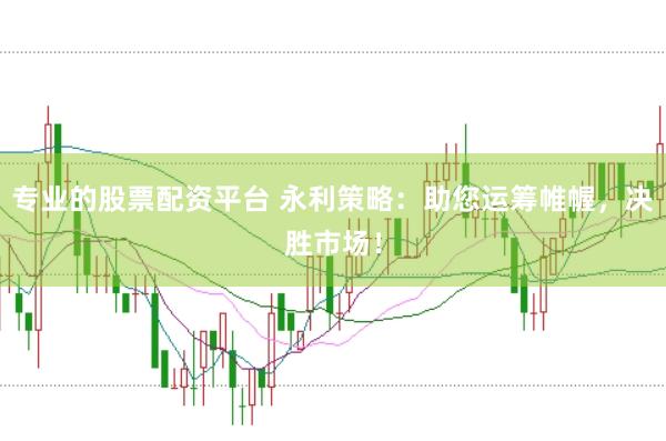 专业的股票配资平台 永利策略：助您运筹帷幄，决胜市场！