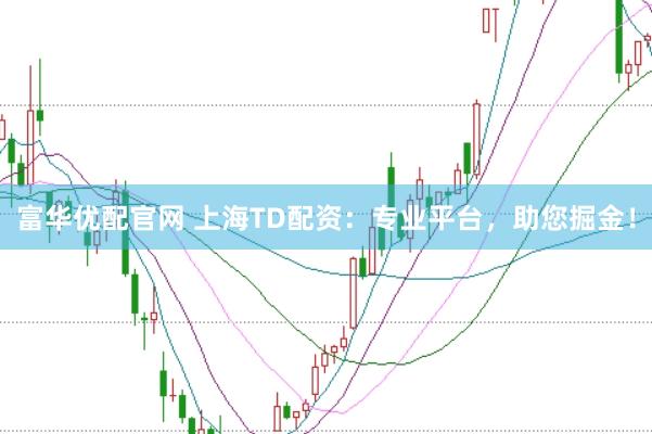 富华优配官网 上海TD配资：专业平台，助您掘金！