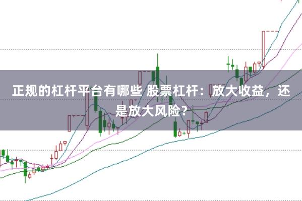正规的杠杆平台有哪些 股票杠杆：放大收益，还是放大风险？