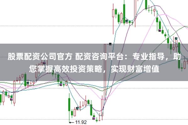股票配资公司官方 配资咨询平台：专业指导，助您掌握高效投资策略，实现财富增值