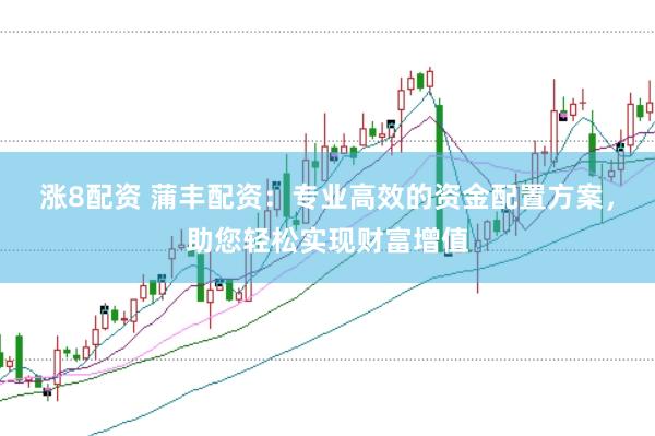 涨8配资 蒲丰配资：专业高效的资金配置方案，助您轻松实现财富增值
