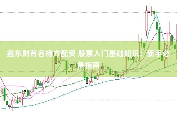 鑫东财有名杨方配资 股票入门基础知识：新手必备指南