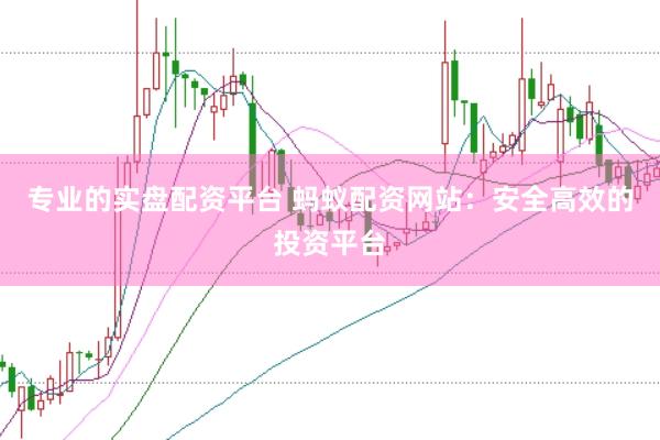 专业的实盘配资平台 蚂蚁配资网站:安全高效的投资平台