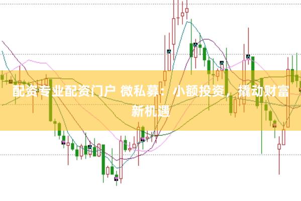 配资专业配资门户 微私募：小额投资，撬动财富新机遇