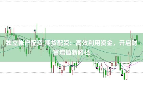 独立帐户配资 期货配资：高效利用资金，开启财富增值新路径