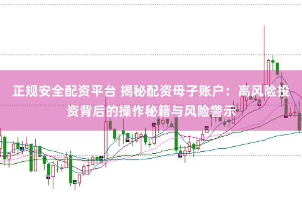 正规安全配资平台 揭秘配资母子账户：高风险投资背后的操作秘籍与风险警示