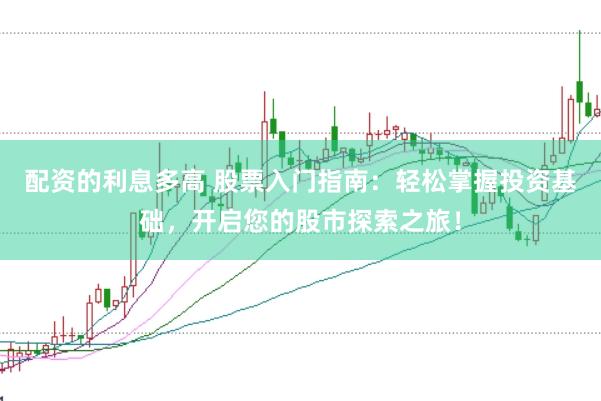 配资的利息多高 股票入门指南：轻松掌握投资基础，开启您的股市探索之旅！