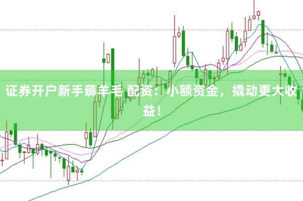 证券开户新手薅羊毛 配资：小额资金，撬动更大收益！