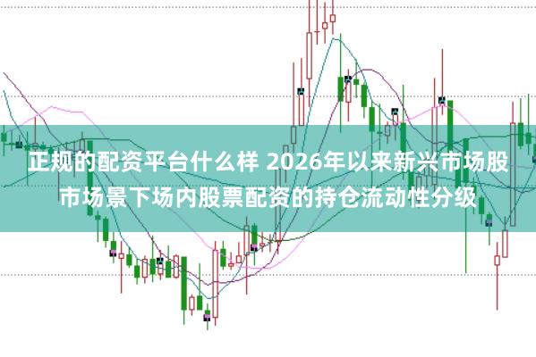 正规的配资平台什么样 2026年以来新兴市场股市场景下场内股票配资的持仓流动性分级