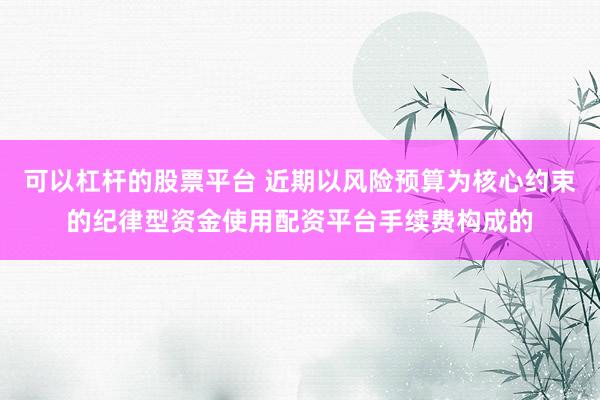 可以杠杆的股票平台 近期以风险预算为核心约束的纪律型资金使用配资平台手续费构成的