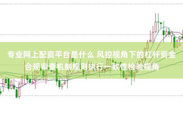 专业网上配资平台是什么 风控视角下的杠杆资金合规审查机制规则执行一致性检验视角