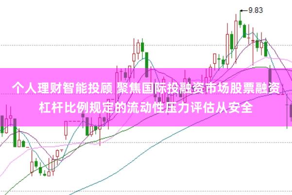个人理财智能投顾 聚焦国际投融资市场股票融资杠杆比例规定的流动性压力评估从安全