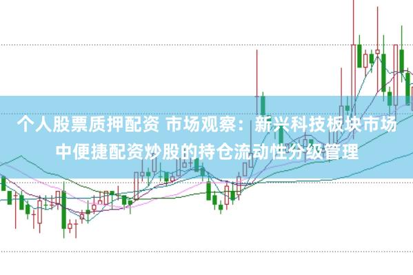 个人股票质押配资 市场观察：新兴科技板块市场中便捷配资炒股的持仓流动性分级管理