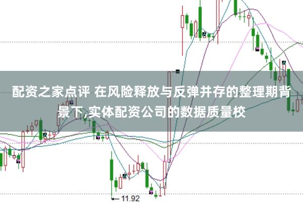配资之家点评 在风险释放与反弹并存的整理期背景下,实体配资公司的数据质量校