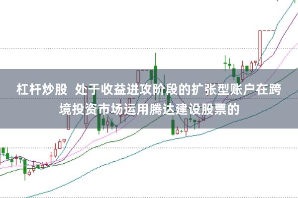 杠杆炒股  处于收益进攻阶段的扩张型账户在跨境投资市场运用腾达建设股票的