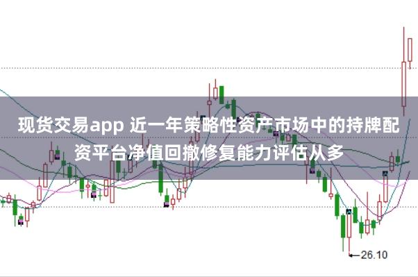 现货交易app 近一年策略性资产市场中的持牌配资平台净值回撤修复能力评估从多