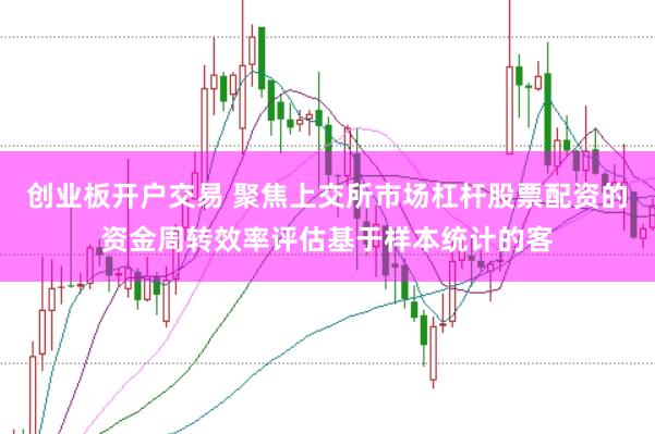 创业板开户交易 聚焦上交所市场杠杆股票配资的资金周转效率评估基于样本统计的客