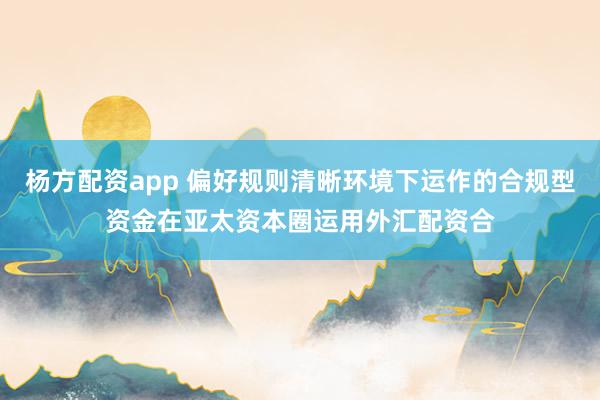 杨方配资app 偏好规则清晰环境下运作的合规型资金在亚太资本圈运用外汇配资合