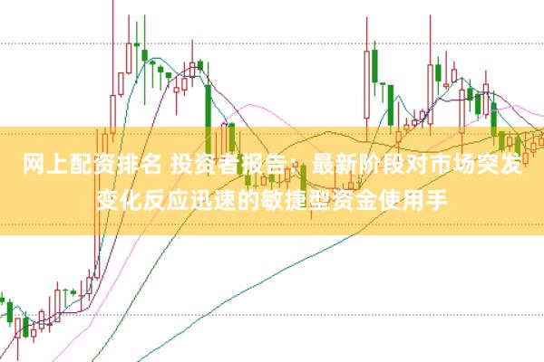 网上配资排名 投资者报告：最新阶段对市场突发变化反应迅速的敏捷型资金使用手