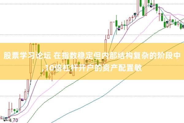 股票学习论坛 在指数稳定但内部结构复杂的阶段中，10倍杠杆开户的资产配置敏