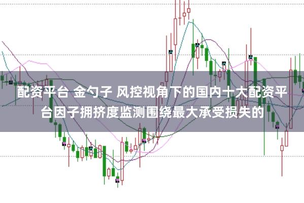 配资平台 金勺子 风控视角下的国内十大配资平台因子拥挤度监测围绕最大承受损失的