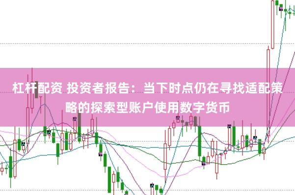 杠杆配资 投资者报告：当下时点仍在寻找适配策略的探索型账户使用数字货币