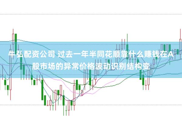牛弘配资公司 过去一年半同花顺靠什么赚钱在A股市场的异常价格波动识别结构变