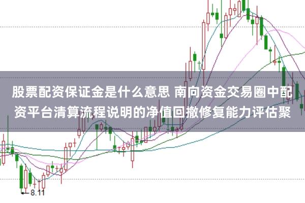 股票配资保证金是什么意思 南向资金交易圈中配资平台清算流程说明的净值回撤修复能力评估聚